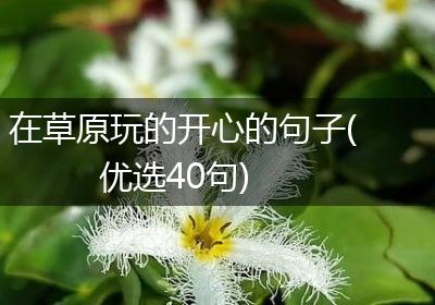 在草原玩的开心的句子(优选40句)