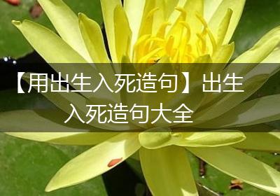 【用出生入死造句】出生入死造句大全
