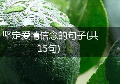 坚定爱情信念的句子(共15句)