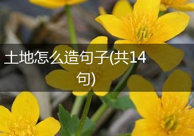 土地怎么造句子(共14句)