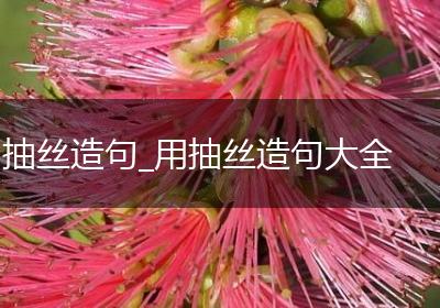 抽丝造句_用抽丝造句大全