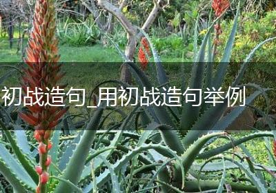 初战造句_用初战造句举例