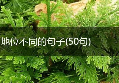地位不同的句子(50句)