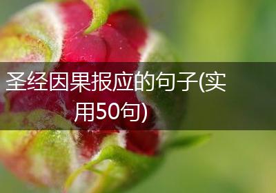 圣经因果报应的句子(实用50句)
