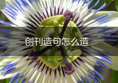 创刊造句怎么造
