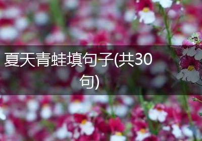 夏天青蛙填句子(共30句)