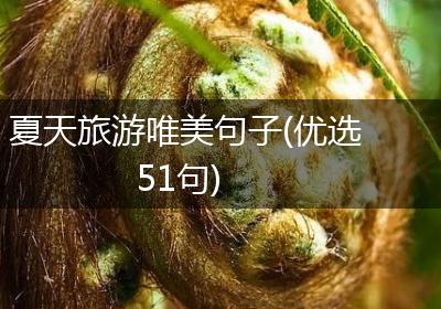 夏天旅游唯美句子(优选51句)