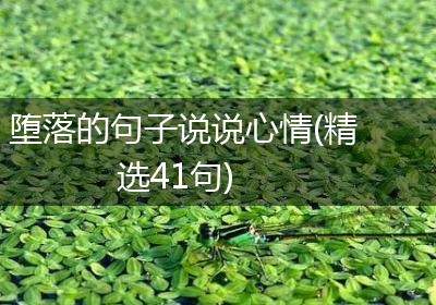 堕落的句子说说心情(精选41句)