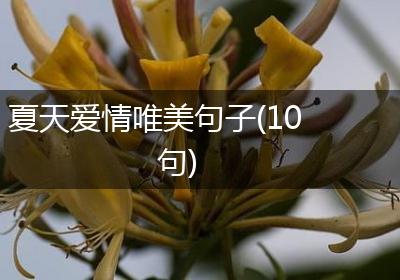 夏天爱情唯美句子(10句)