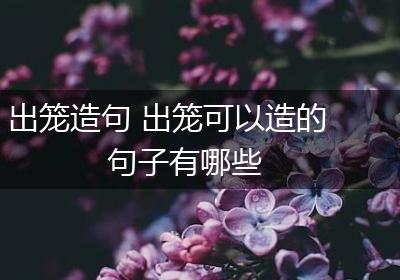 出笼造句 出笼可以造的句子有哪些