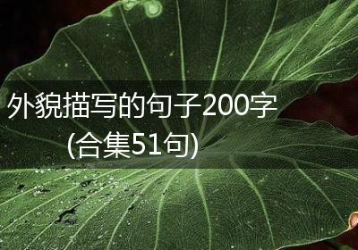 外貌描写的句子200字(合集51句)