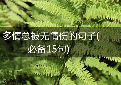 多情总被无情伤的句子(必备15句)