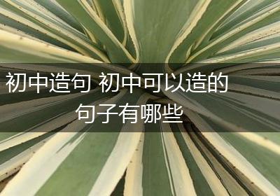 初中造句 初中可以造的句子有哪些