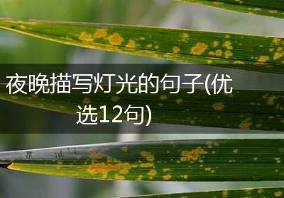 夜晚描写灯光的句子(优选12句)