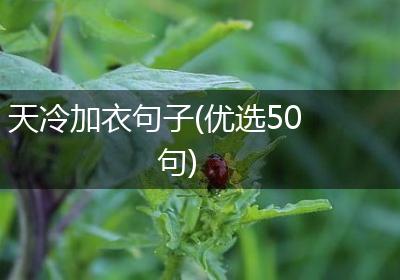 天冷加衣句子(优选50句)