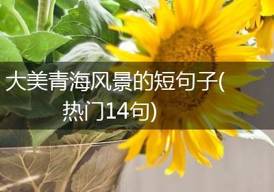 大美青海风景的短句子(热门14句)