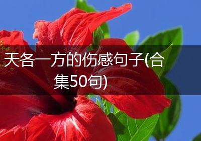 天各一方的伤感句子(合集50句)