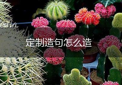 定制造句怎么造