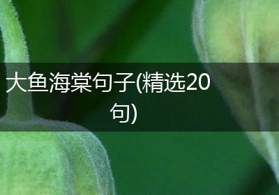 大鱼海棠句子(精选20句)