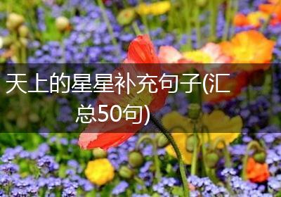 天上的星星补充句子(汇总50句)