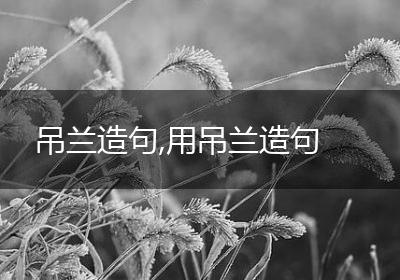 吊兰造句,用吊兰造句