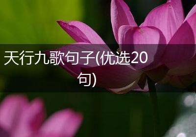 天行九歌句子(优选20句)