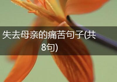 失去母亲的痛苦句子(共8句)