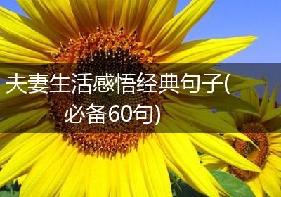 夫妻生活感悟经典句子(必备60句)
