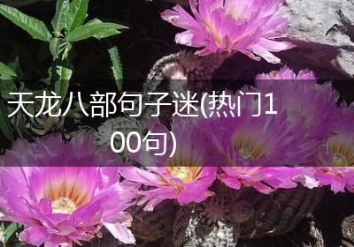 天龙八部句子迷(热门100句)