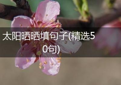 太阳晒晒填句子(精选50句)
