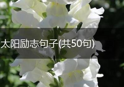 太阳励志句子(共50句)
