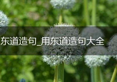 东道造句_用东道造句大全