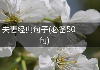 夫妻经典句子(必备50句)
