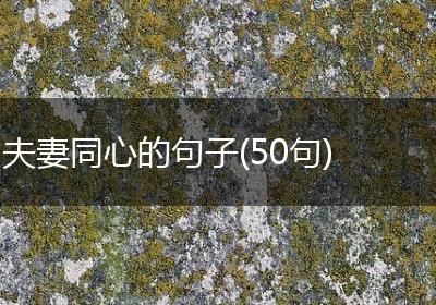 夫妻同心的句子(50句)