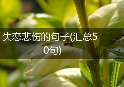 失恋悲伤的句子(汇总50句)