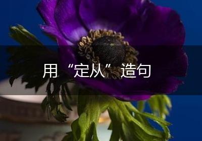 用“定从”造句