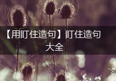【用盯住造句】盯住造句大全
