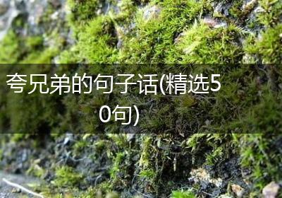 夸兄弟的句子话(精选50句)