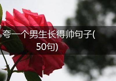 夸一个男生长得帅句子(50句)