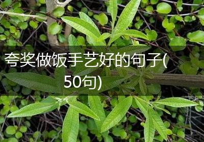 夸奖做饭手艺好的句子(50句)