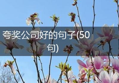 夸奖公司好的句子(50句)