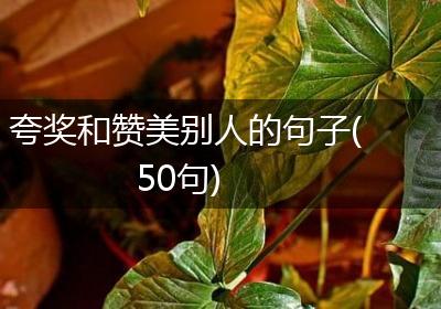 夸奖和赞美别人的句子(50句)