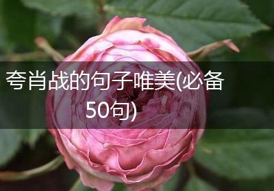 夸肖战的句子唯美(必备50句)