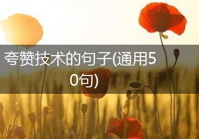 夸赞技术的句子(通用50句)