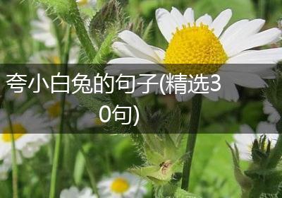 夸小白兔的句子(精选30句)