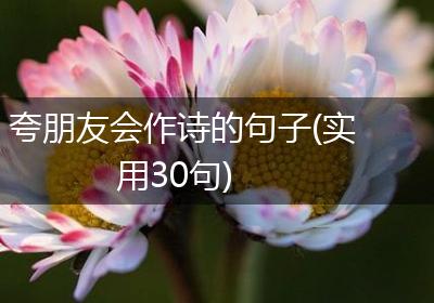 夸朋友会作诗的句子(实用30句)