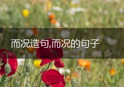 而况造句,而况的句子