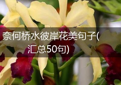 奈何桥水彼岸花美句子(汇总50句)