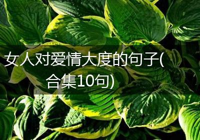女人对爱情大度的句子(合集10句)