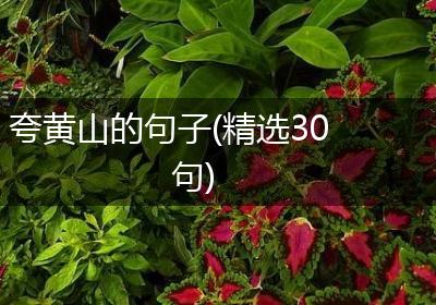 夸黄山的句子(精选30句)